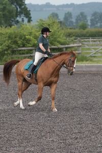 ISIS Dressage Challenge 2008